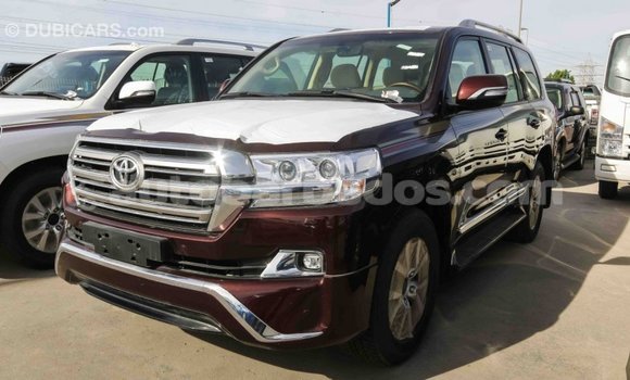Buy Import Toyota Land Cruiser Other Car in Import - Dubai in Barbados Buy Import Toyota Land Cruiser Other Car in Import - Dubai in Barbados
