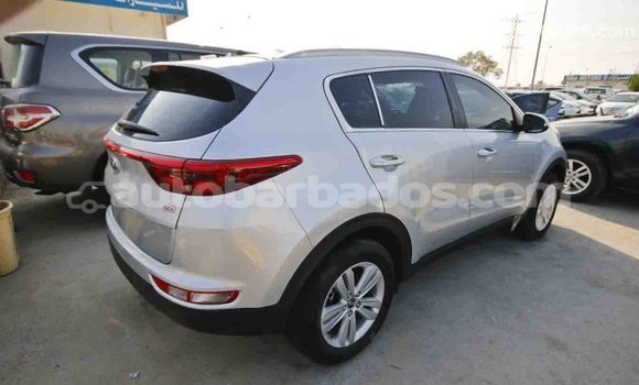 Buy Import Kia Sportage Other Car in Import - Dubai in Barbados Buy Import Kia Sportage Other Car in Import - Dubai in Barbados