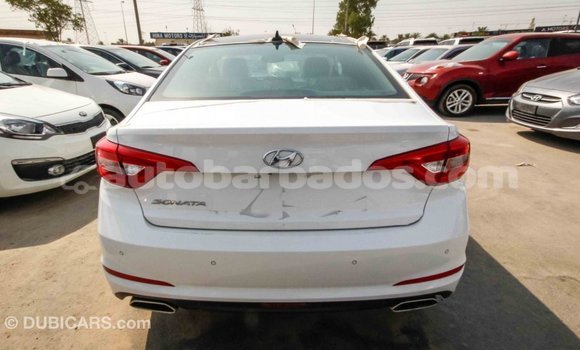 Buy Import Hyundai Sonata White Car in Import - Dubai in Barbados Buy Import Hyundai Sonata White Car in Import - Dubai in Barbados