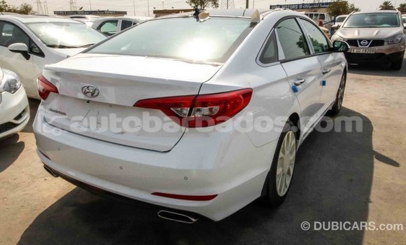 Buy Import Hyundai Sonata White Car in Import - Dubai in Barbados Buy Import Hyundai Sonata White Car in Import - Dubai in Barbados