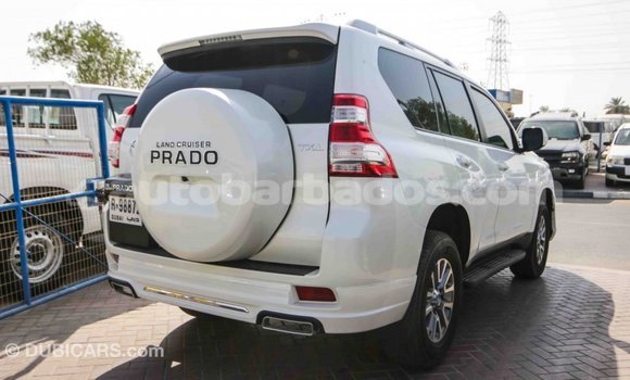 Buy Import Toyota Prado White Car in Import - Dubai in Barbados Buy Import Toyota Prado White Car in Import - Dubai in Barbados