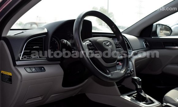 Buy Import Hyundai Elantra Other Car in Import - Dubai in Barbados Buy Import Hyundai Elantra Other Car in Import - Dubai in Barbados