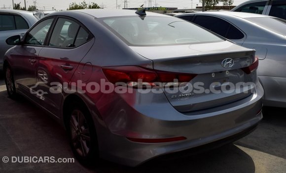 Buy Import Hyundai Elantra Other Car in Import - Dubai in Barbados Buy Import Hyundai Elantra Other Car in Import - Dubai in Barbados