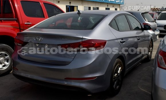 Buy Import Hyundai Elantra Other Car in Import - Dubai in Barbados Buy Import Hyundai Elantra Other Car in Import - Dubai in Barbados