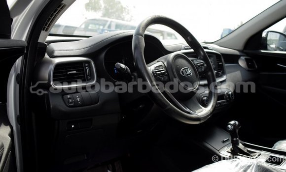 Buy Import Kia Sorento Other Car in Import - Dubai in Barbados Buy Import Kia Sorento Other Car in Import - Dubai in Barbados