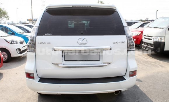 Buy Import Lexus GX White Car in Import - Dubai in Barbados Buy Import Lexus GX White Car in Import - Dubai in Barbados