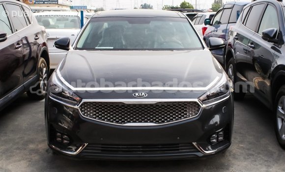 Buy Import Kia Cadenza Other Car in Import - Dubai in Barbados Buy Import Kia Cadenza Other Car in Import - Dubai in Barbados