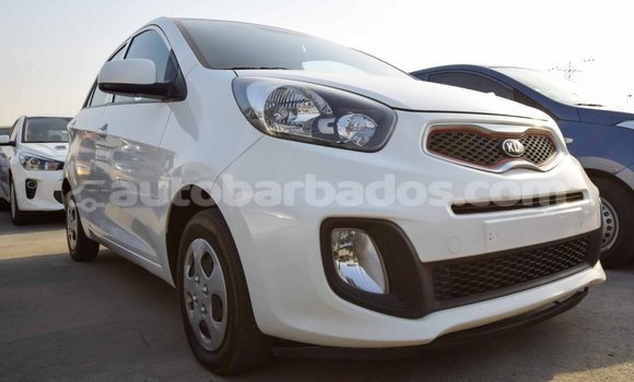 Buy Import Kia Picanto White Car in Import - Dubai in Barbados Buy Import Kia Picanto White Car in Import - Dubai in Barbados