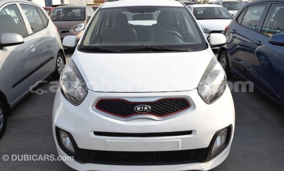 Buy Import Kia Picanto White Car in Import - Dubai in Barbados Buy Import Kia Picanto White Car in Import - Dubai in Barbados