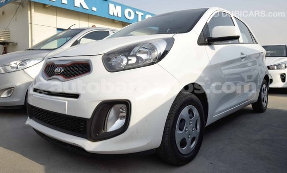 Buy Import Kia Picanto White Car in Import - Dubai in Barbados Buy Import Kia Picanto White Car in Import - Dubai in Barbados