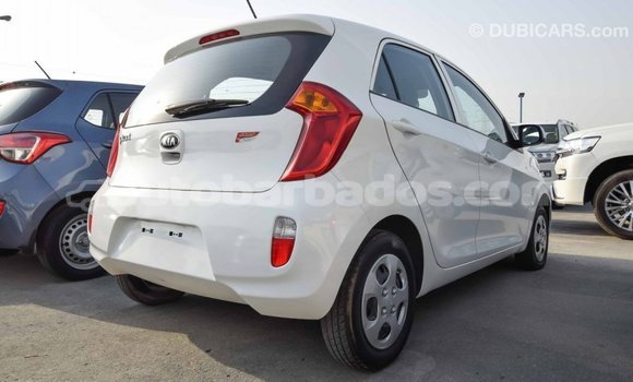 Buy Import Kia Picanto White Car in Import - Dubai in Barbados Buy Import Kia Picanto White Car in Import - Dubai in Barbados
