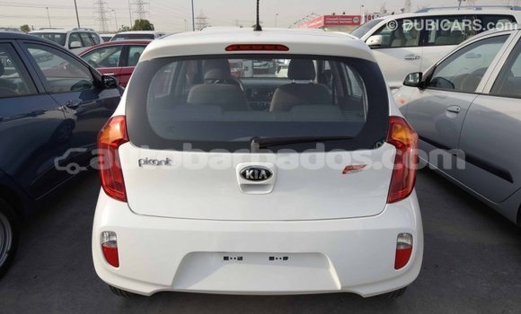 Buy Import Kia Picanto White Car in Import - Dubai in Barbados Buy Import Kia Picanto White Car in Import - Dubai in Barbados