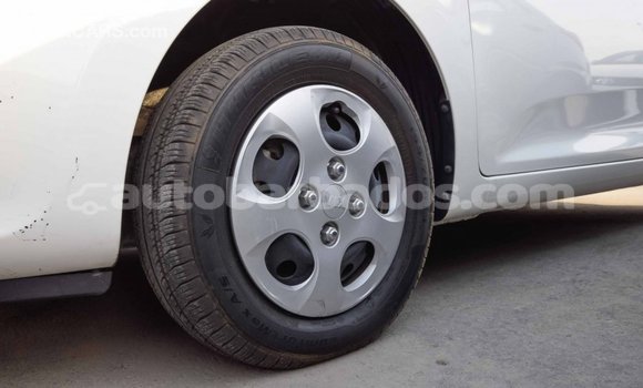 Buy Import Kia Picanto White Car in Import - Dubai in Barbados Buy Import Kia Picanto White Car in Import - Dubai in Barbados