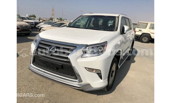 Buy Import Lexus GX White Car in Import - Dubai in Barbados