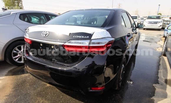 Buy Import Toyota Corolla Black Car in Import - Dubai in Barbados Buy Import Toyota Corolla Black Car in Import - Dubai in Barbados