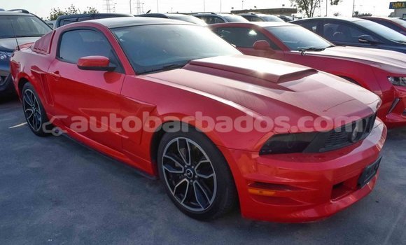 Buy Import Ford Mustang Red Car in Import - Dubai in Barbados Buy Import Ford Mustang Red Car in Import - Dubai in Barbados