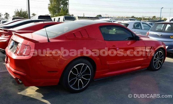 Buy Import Ford Mustang Red Car in Import - Dubai in Barbados Buy Import Ford Mustang Red Car in Import - Dubai in Barbados