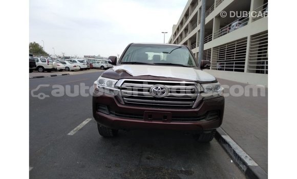 Buy Import Toyota Land Cruiser Brown Car in Import - Dubai in Barbados Buy Import Toyota Land Cruiser Brown Car in Import - Dubai in Barbados
