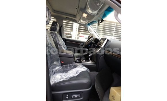 Buy Import Toyota Land Cruiser Brown Car in Import - Dubai in Barbados Buy Import Toyota Land Cruiser Brown Car in Import - Dubai in Barbados