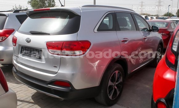 Buy Import Kia Sorento Other Car in Import - Dubai in Barbados Buy Import Kia Sorento Other Car in Import - Dubai in Barbados