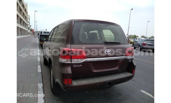 Buy Import Toyota Land Cruiser Brown Car in Import - Dubai in Barbados Buy Import Toyota Land Cruiser Brown Car in Import - Dubai in Barbados