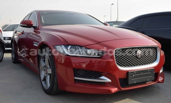 Buy Import Jaguar XE Red Car in Import - Dubai in Barbados