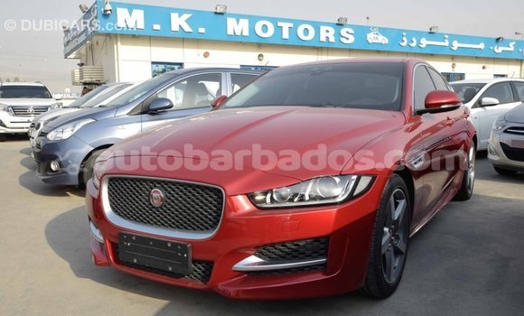 Buy Import Jaguar XE Red Car in Import - Dubai in Barbados Buy Import Jaguar XE Red Car in Import - Dubai in Barbados