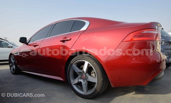 Buy Import Jaguar XE Red Car in Import - Dubai in Barbados Buy Import Jaguar XE Red Car in Import - Dubai in Barbados