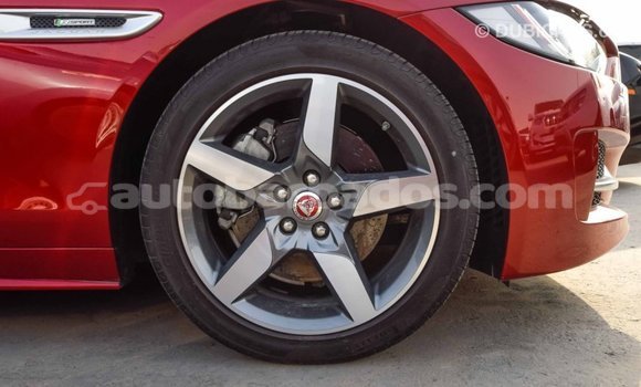 Buy Import Jaguar XE Red Car in Import - Dubai in Barbados Buy Import Jaguar XE Red Car in Import - Dubai in Barbados