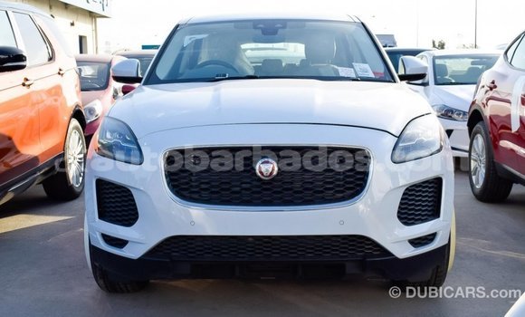 Buy Import Jaguar E-Pace White Car in Import - Dubai in Barbados Buy Import Jaguar E-Pace White Car in Import - Dubai in Barbados