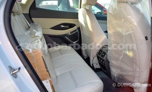 Buy Import Jaguar E-Pace White Car in Import - Dubai in Barbados Buy Import Jaguar E-Pace White Car in Import - Dubai in Barbados