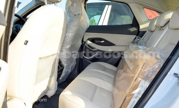 Buy Import Jaguar E-Pace White Car in Import - Dubai in Barbados Buy Import Jaguar E-Pace White Car in Import - Dubai in Barbados