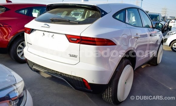 Buy Import Jaguar E-Pace White Car in Import - Dubai in Barbados Buy Import Jaguar E-Pace White Car in Import - Dubai in Barbados