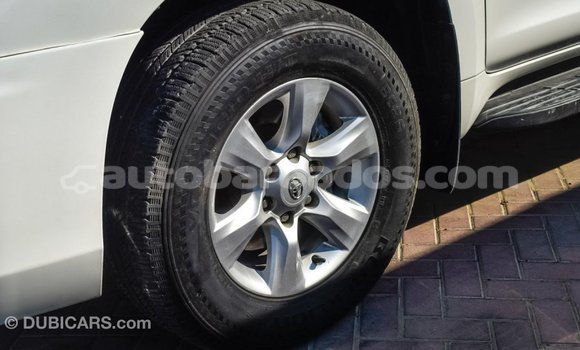 Buy Import Toyota Prado White Car in Import - Dubai in Barbados Buy Import Toyota Prado White Car in Import - Dubai in Barbados