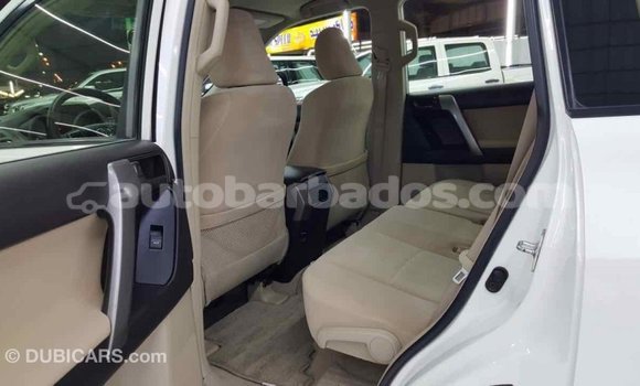 Buy Import Toyota Prado White Car in Import - Dubai in Barbados Buy Import Toyota Prado White Car in Import - Dubai in Barbados