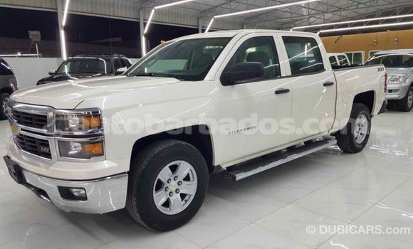Buy Import Chevrolet Silverado White Car in Import - Dubai in Barbados Buy Import Chevrolet Silverado White Car in Import - Dubai in Barbados