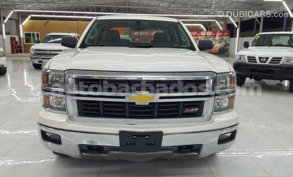 Buy Import Chevrolet Silverado White Car in Import - Dubai in Barbados Buy Import Chevrolet Silverado White Car in Import - Dubai in Barbados