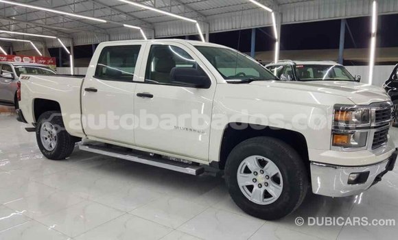Buy Import Chevrolet Silverado White Car in Import - Dubai in Barbados Buy Import Chevrolet Silverado White Car in Import - Dubai in Barbados