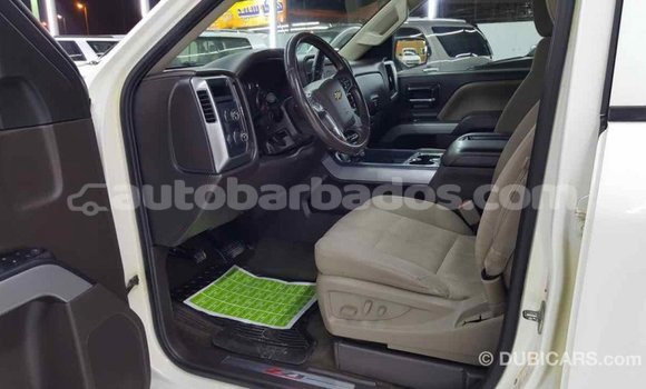 Buy Import Chevrolet Silverado White Car in Import - Dubai in Barbados Buy Import Chevrolet Silverado White Car in Import - Dubai in Barbados
