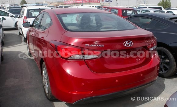 Buy Import Hyundai Elantra Red Car in Import - Dubai in Barbados Buy Import Hyundai Elantra Red Car in Import - Dubai in Barbados