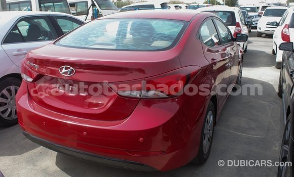 Buy Import Hyundai Elantra Red Car in Import - Dubai in Barbados Buy Import Hyundai Elantra Red Car in Import - Dubai in Barbados