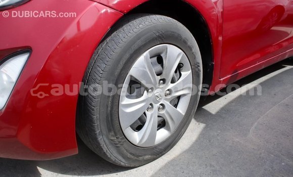 Buy Import Hyundai Elantra Red Car in Import - Dubai in Barbados Buy Import Hyundai Elantra Red Car in Import - Dubai in Barbados