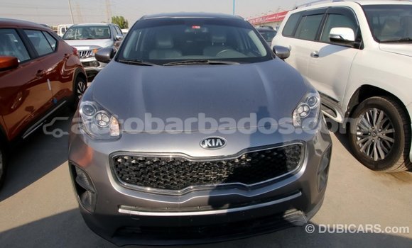 Buy Import Kia Sportage Other Car in Import - Dubai in Barbados Buy Import Kia Sportage Other Car in Import - Dubai in Barbados