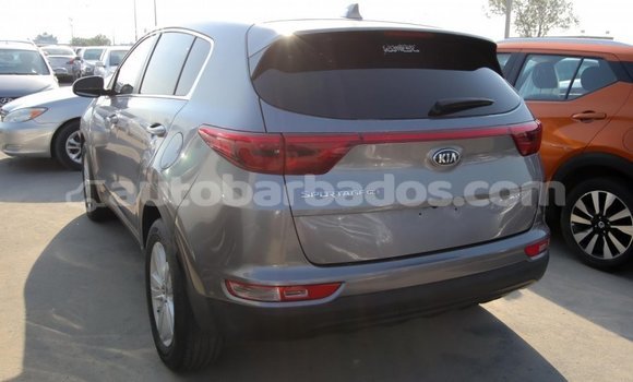 Buy Import Kia Sportage Other Car in Import - Dubai in Barbados Buy Import Kia Sportage Other Car in Import - Dubai in Barbados
