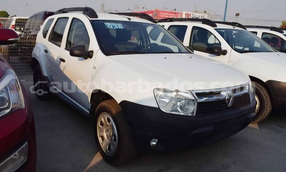 Buy Import Renault Duster White Car in Import - Dubai in Barbados