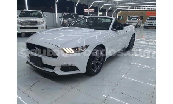 Buy Import Ford Mustang White Car in Import - Dubai in Barbados Buy Import Ford Mustang White Car in Import - Dubai in Barbados