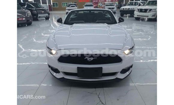 Buy Import Ford Mustang White Car in Import - Dubai in Barbados Buy Import Ford Mustang White Car in Import - Dubai in Barbados