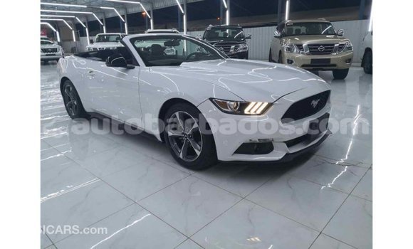 Buy Import Ford Mustang White Car in Import - Dubai in Barbados Buy Import Ford Mustang White Car in Import - Dubai in Barbados