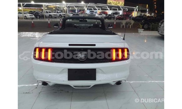 Buy Import Ford Mustang White Car in Import - Dubai in Barbados Buy Import Ford Mustang White Car in Import - Dubai in Barbados
