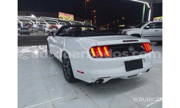 Buy Import Ford Mustang White Car in Import - Dubai in Barbados Buy Import Ford Mustang White Car in Import - Dubai in Barbados